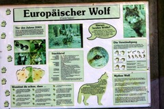 Killikus® Fotographie